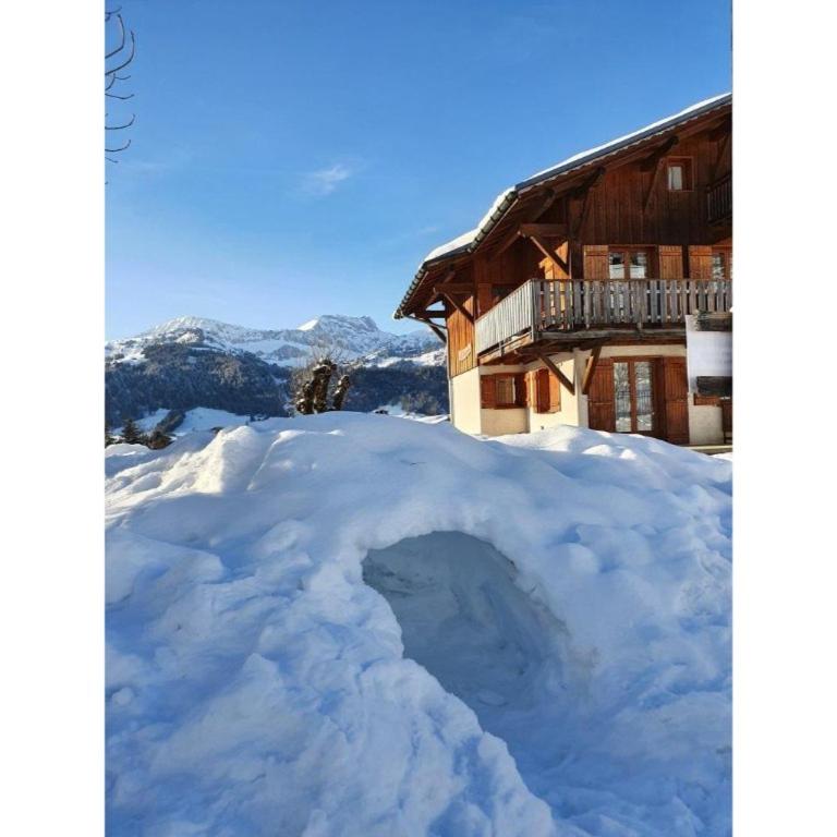 Chalet de la Marmotte - Appartement Supérieur avec Balcon - 8