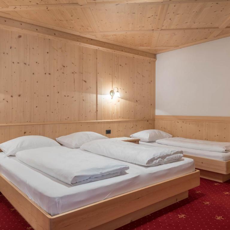 Hotel Residence Gardena Dolomites 2 - Monolocale con Vista Montagna - 9