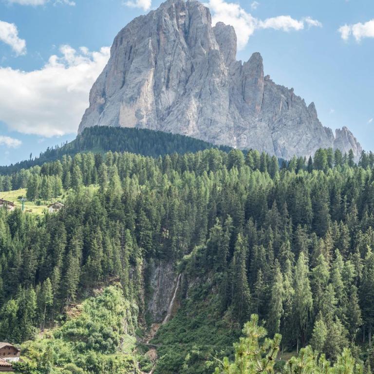 Hotel Residence Gardena Dolomites 2 - Monolocale con Vista Montagna - 29