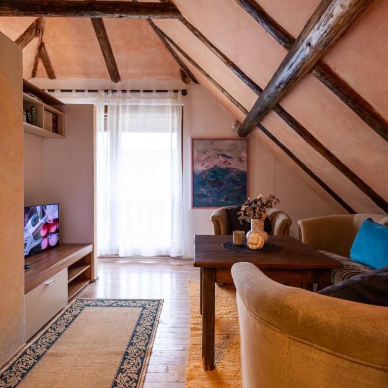 Gastro Ranč Stara Avlija - Apartman sa 1 Spavaćom Sobom - 14