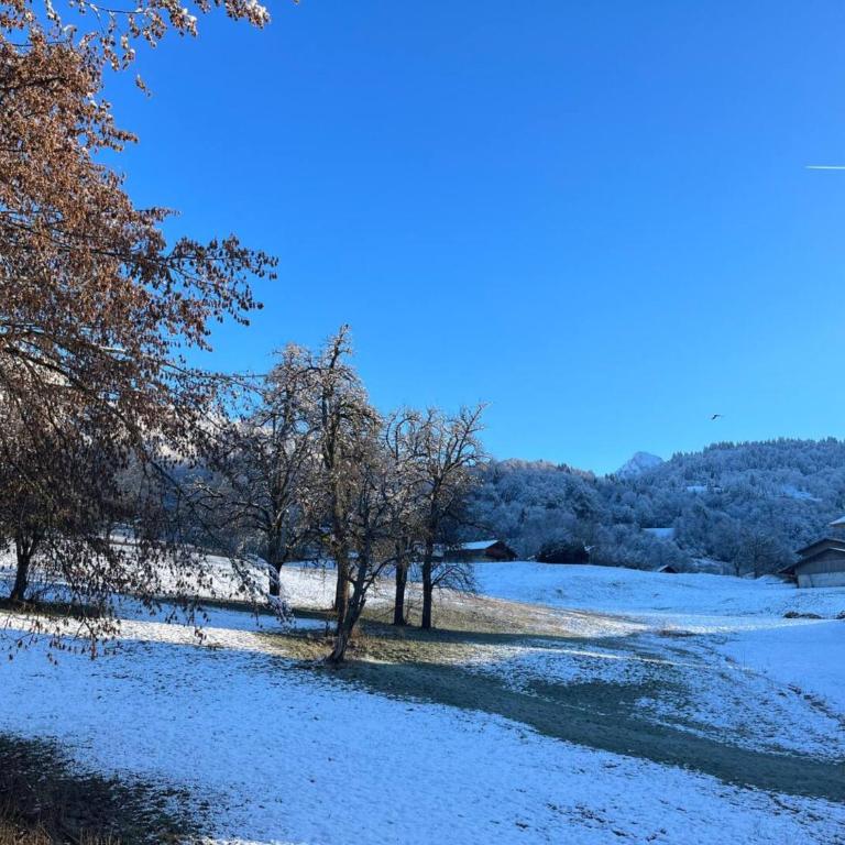 Chaleureuse Fruitière – 8 personnes - Apartamento de 3 dormitorios con vistas a las montañas - 26