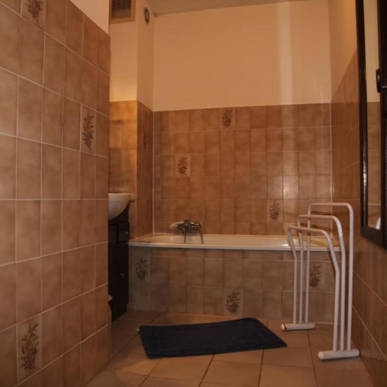 Coeur de ville avec jardin privatif - Apartamento de 1 dormitorio con vistas al jardín - 13