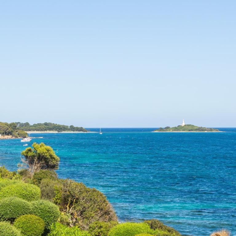 Villa Can Torrens de Alcudia - Villa con vistas al mar - 43
