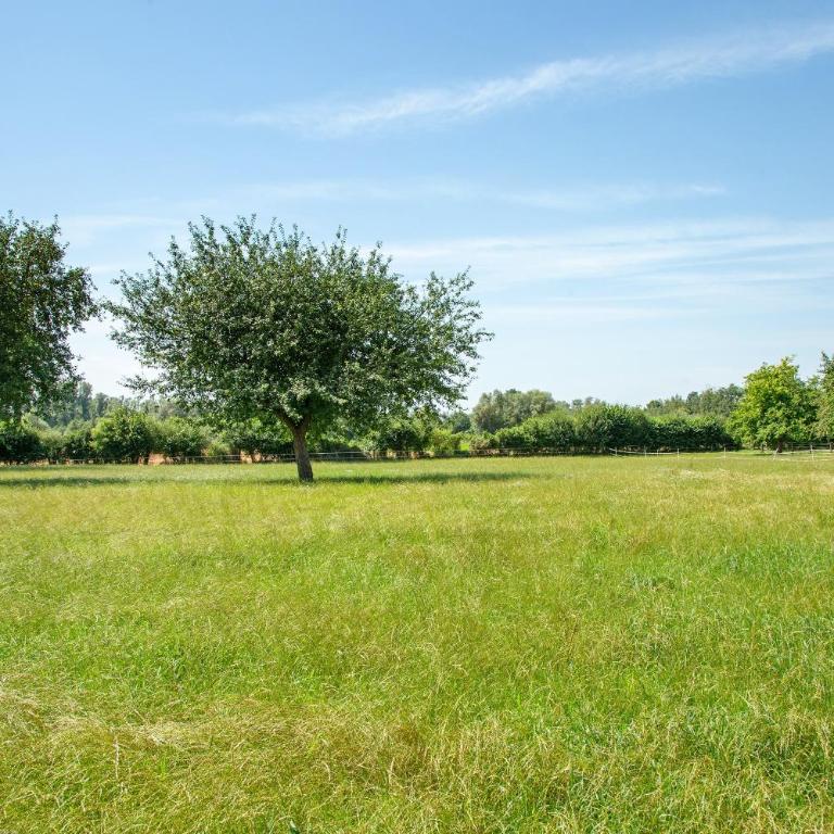 Ferienwohnungen Hackerhof - Superior Apartment mit 1 Schlafzimmer und Balkon - 22