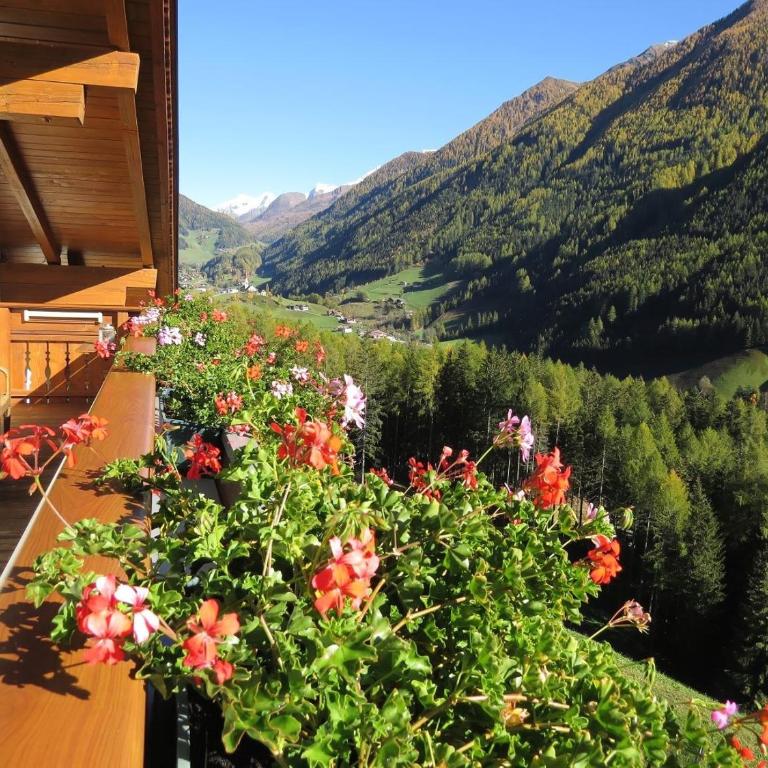 Voppichlhof App Alpenrose - Two-Bedroom Deluxe Apartment with Garden View - 4