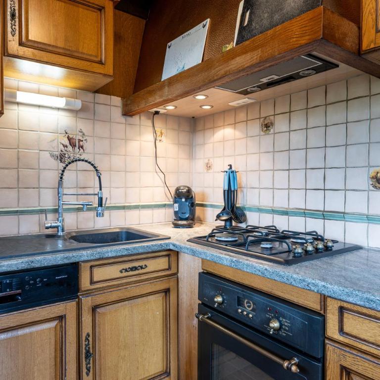 La Rose des Vents 8-9 pers - Chalet - 10