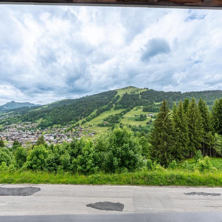 La Rose des Vents 8-9 pers - Chalet - 3