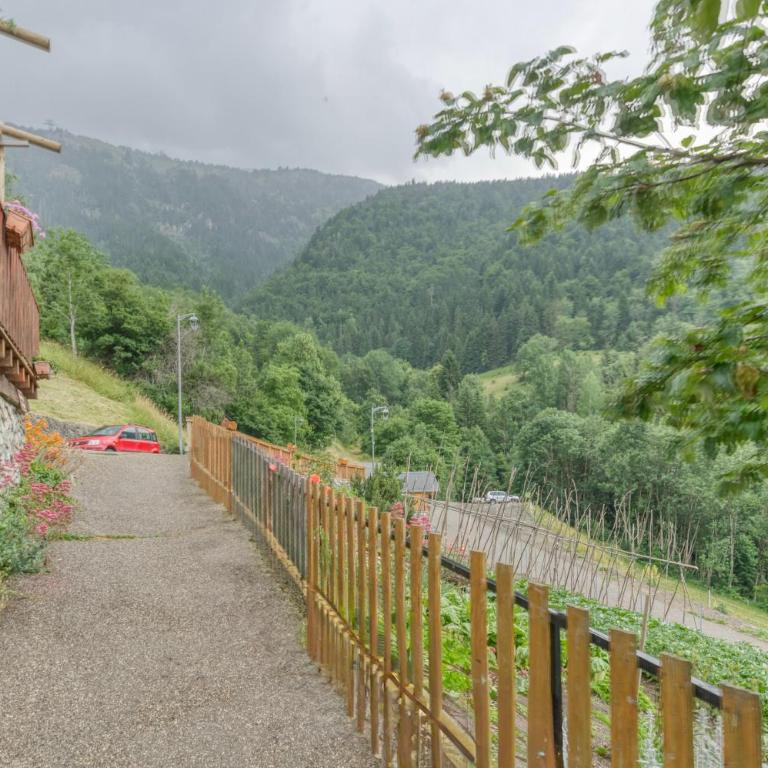 Auberge Passoud 203 - Appartement 1 Chambre avec Jardin - 19