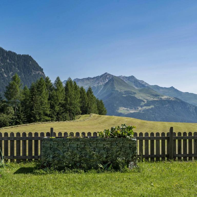 Ferienhaus Maria Steinröserl - Appartamento Superior con 1 Camera da Letto e Balcone - 15
