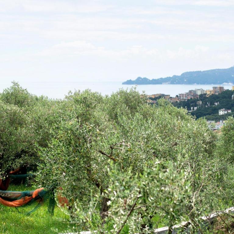 Villa Angelina - Villa with Sea View - 19