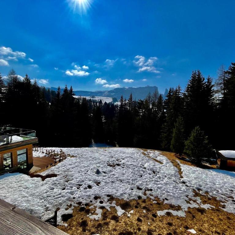 Sabina Dolomites Lärche - Appartamento Superior con 1 Camera da Letto e Balcone - 29