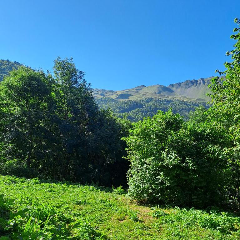 Chalet de l'ulmjc de Grenoble - Chalet mit 3 Schlafzimmern - 27