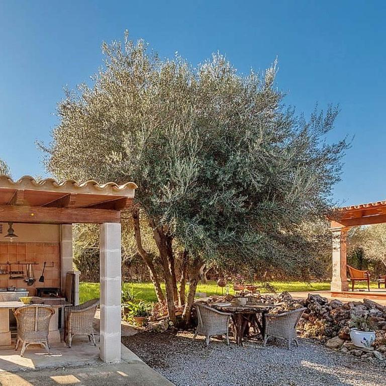Finca Diver - Villa - 11