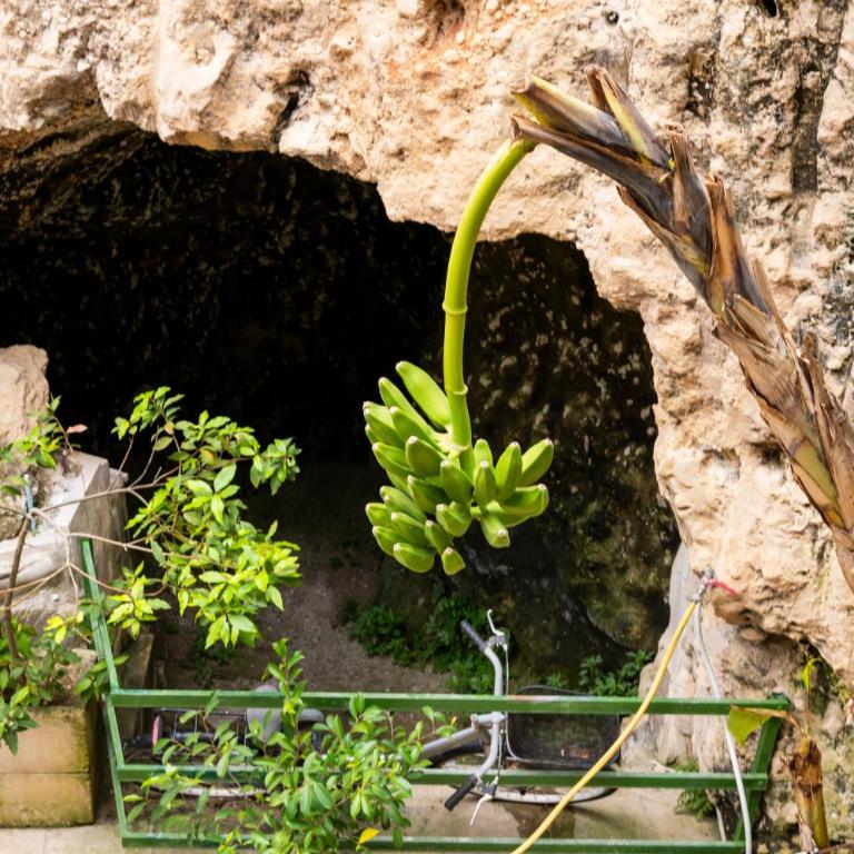Atenaion Otranto - Appartamento Deluxe con 2 Camere da Letto e Vista Giardino - 20