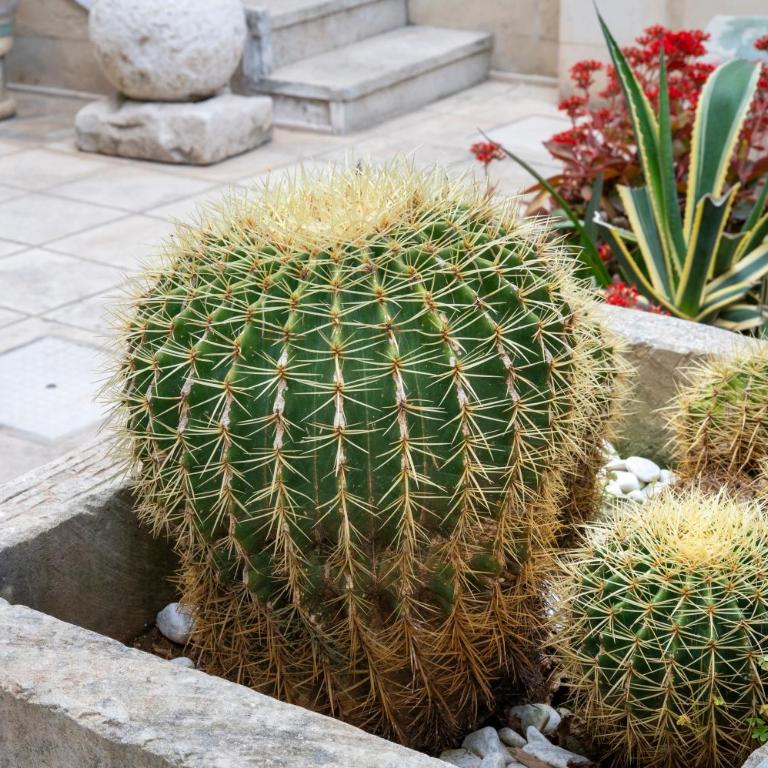 Atenaion Otranto - Appartamento Deluxe con 2 Camere da Letto e Vista Giardino - 23