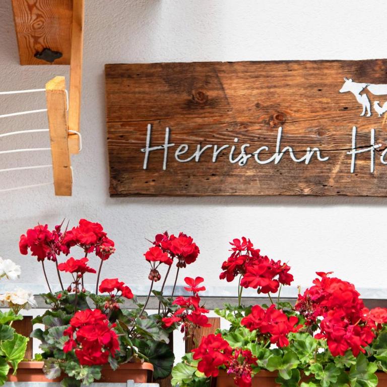 Herrischner Apartement 2 - Deluxe-Apartment mit 2 Schlafzimmern und Gartenblick - 36