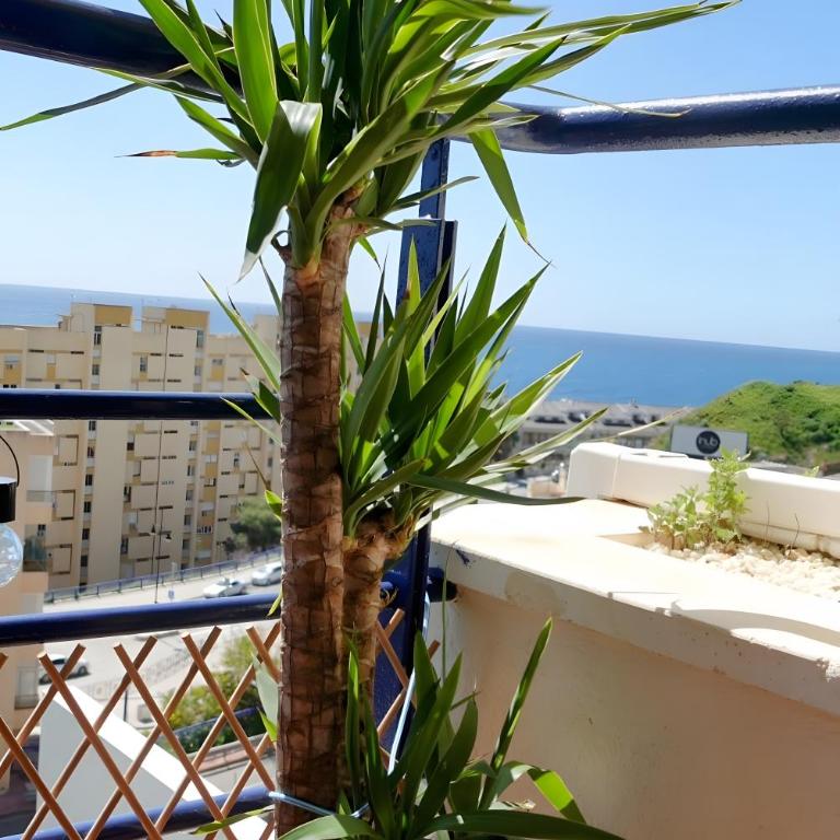 Beach Horizon - Apartamento Deluxe de 2 dormitorios con vistas al mar - 17