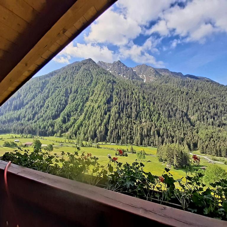 Haus Hubertus - Fewo 5 - Appartamento Superior con 1 Camera da Letto e Balcone - 19