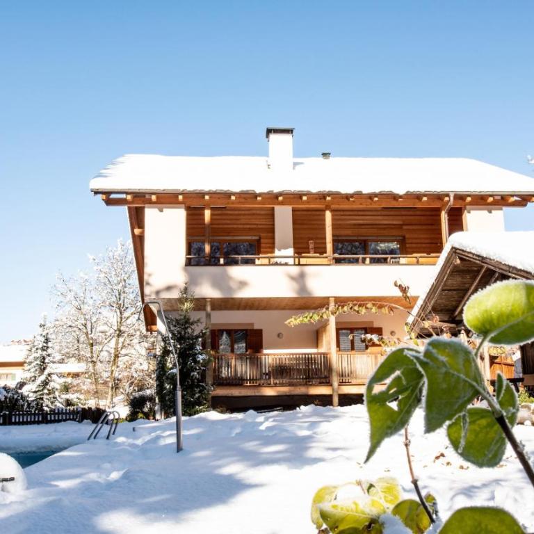 Bergfrieden Apartment 2 B - Appartamento Superior con 1 Camera da Letto e Balcone - 14