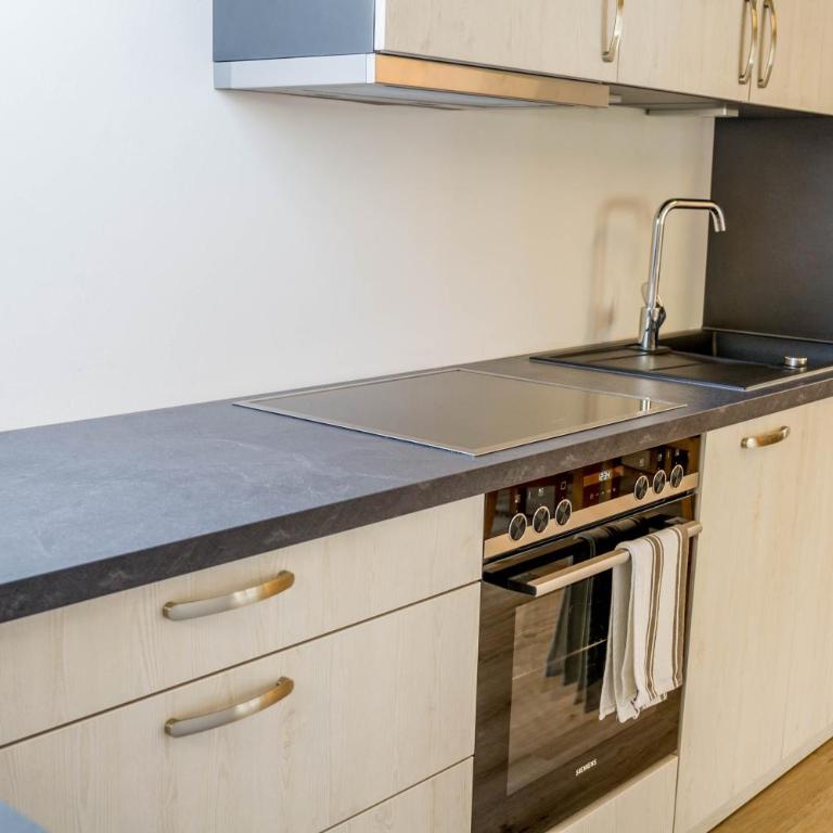 Ferienwohnung Bergpanorama - Apartamento Superior de 1 dormitorio con balcón - 11
