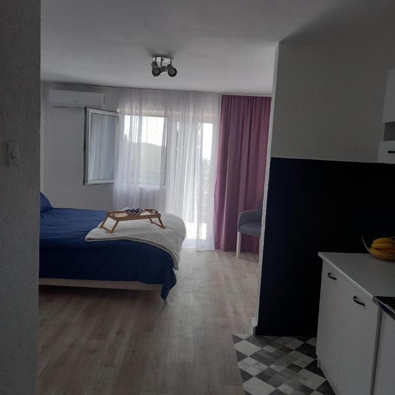 Vila mira - Apartman sa 2 Spavaće Sobe - 9