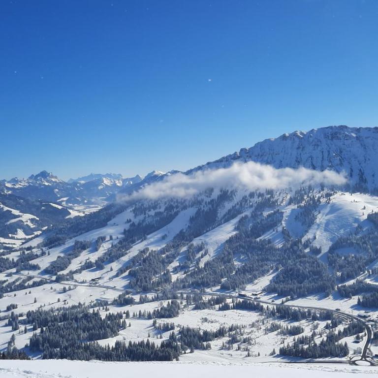 Ferienwohnung Alpenvogel - Superior Apartment mit 1 Schlafzimmer und Balkon - 27