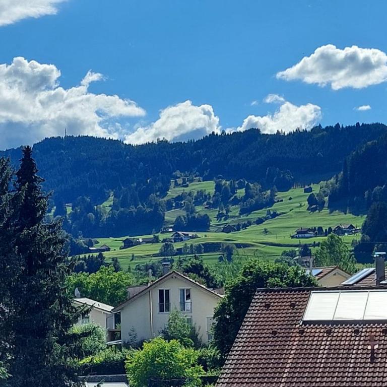 Ferienwohnung Alpenvogel - Superior Apartment mit 1 Schlafzimmer und Balkon - 22