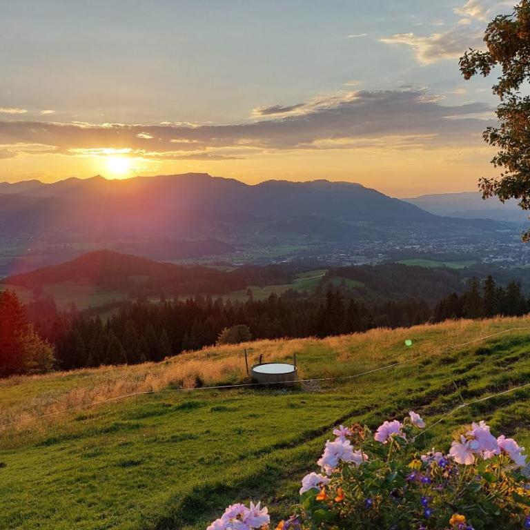 Ferienwohnung Alpenvogel - Superior Apartment mit 1 Schlafzimmer und Balkon - 26