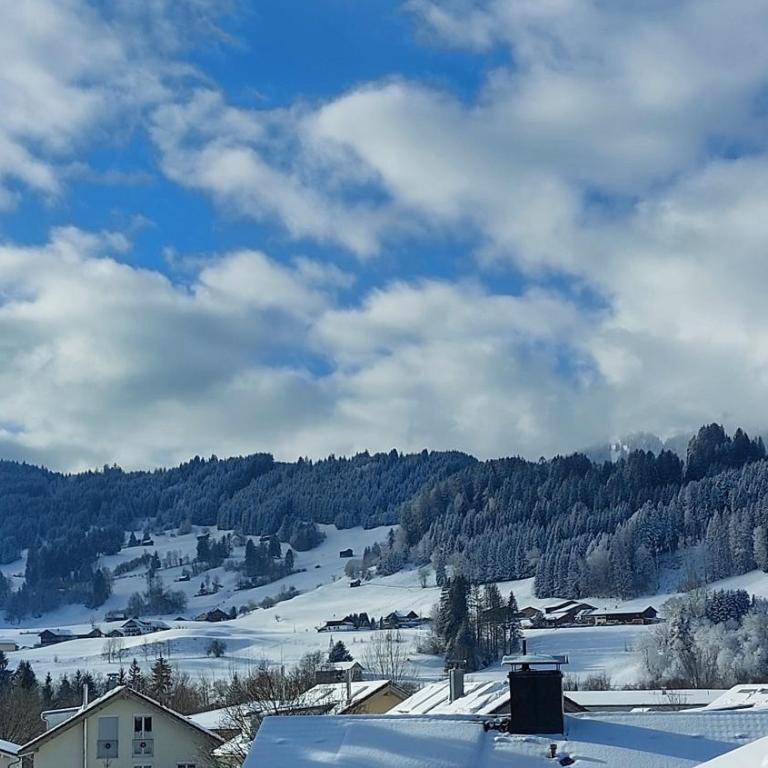 Ferienwohnung Alpenvogel - Superior Apartment mit 1 Schlafzimmer und Balkon - 23