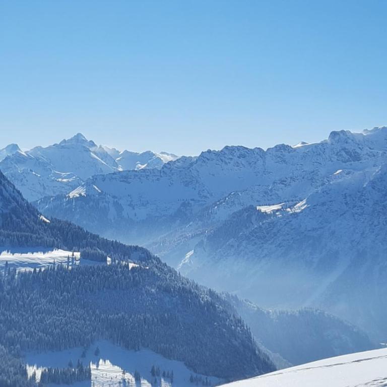 Ferienwohnung Alpenvogel - Superior Apartment mit 1 Schlafzimmer und Balkon - 28