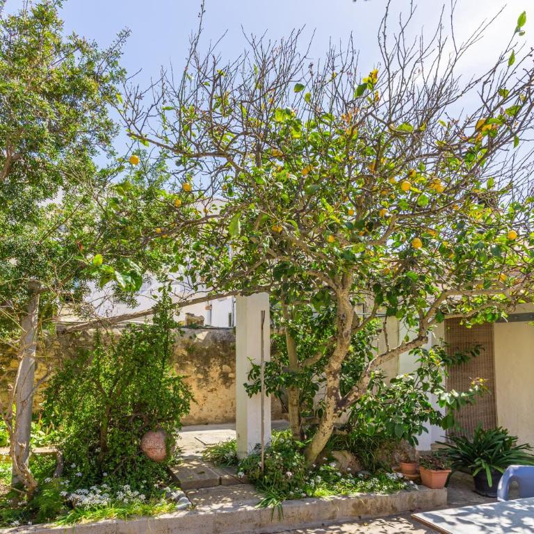 Miramar Sa Rapita - Two-Bedroom House - 24