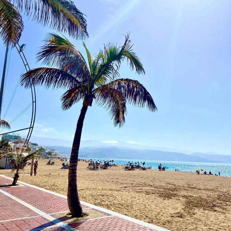 Neue Wohnung am Las Canteras Strand - Apartamento Superior con vistas a la ciudad - 1