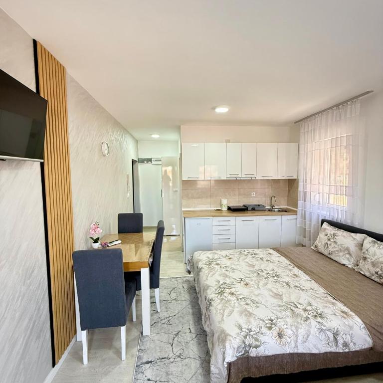 Studio Jana - Apartman sa 1 Spavaćom Sobom - 1