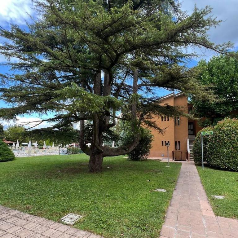 Appartamento Garda Lake Sirmione Piscina Parking - Appartamento con 1 Camera da Letto - 9