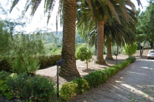 Villa Vanna Trilo -quadrilocale - Villa con Vista Mare - 19