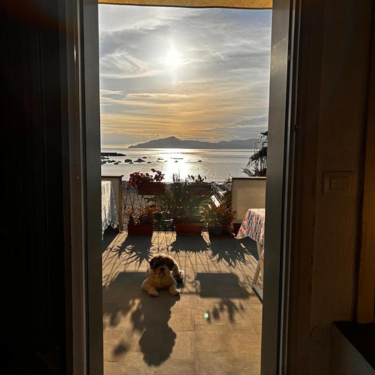 Appartamento frontemare con terrazzo - Appartamento con Vista Mare - 4