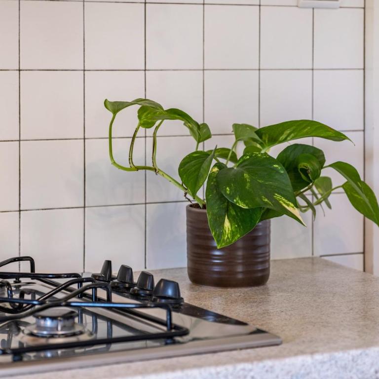 Stablerhof Apt Löwenzahn - Appartamento Deluxe con 2 Camere da Letto e Vista Giardino - 13