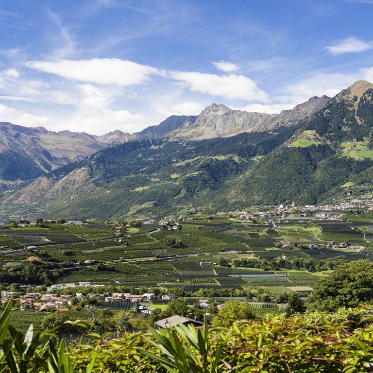 Schenna Chalet - Chalet Penthouse - Appartamento Premium con 3 Camere da Letto e Balcone - 28
