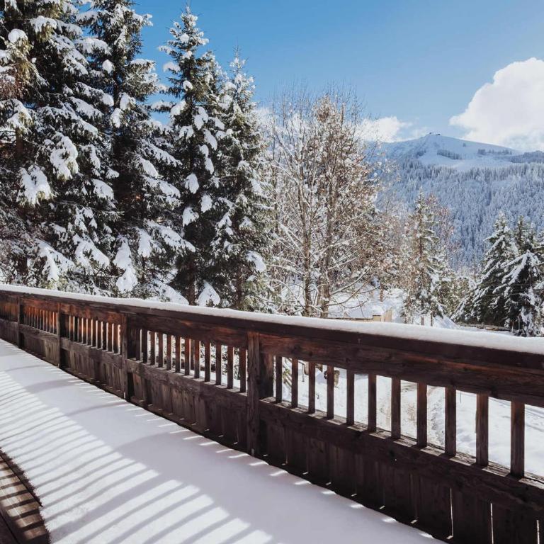 Chalet 5★ à La Clusaz, 12 pers, terrasse sud, navette 100m - FR-1-304-211 - Chalet (12 Erwachsene) - 17