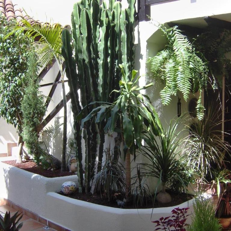 Aptos Monasterio de San Antonio 6 - Apartamento con terraza - 22