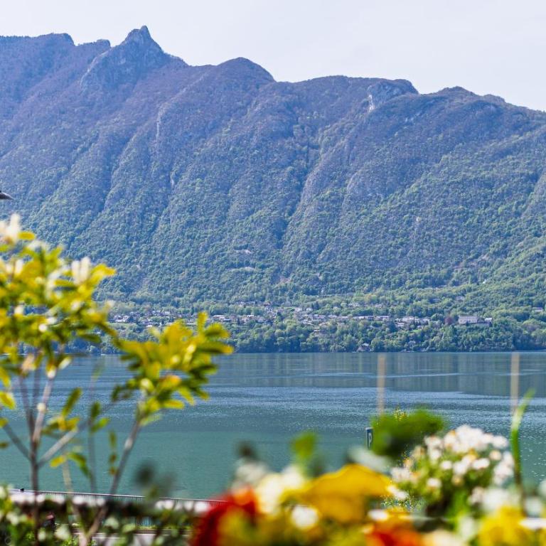 Superbe Appartement avec vue sur le Lac du Bourget - Appartamento con Vista Lago - 31