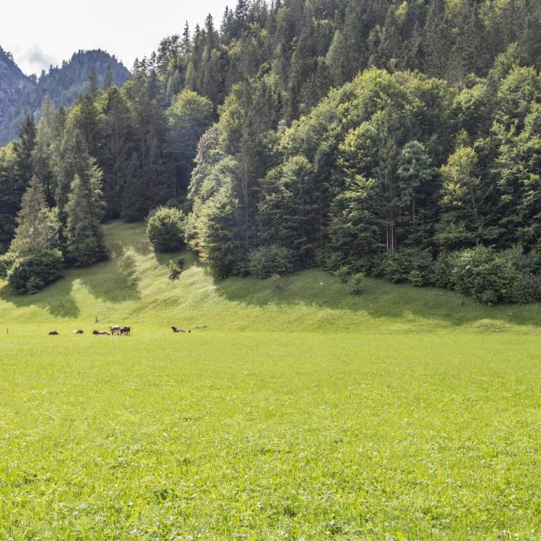 Ferienwohnung Weissbacher - Superior Apartment mit 1 Schlafzimmer und Balkon - 22
