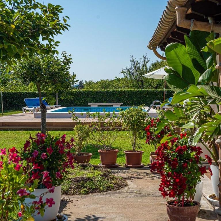 Villa Angels - Villa - 19