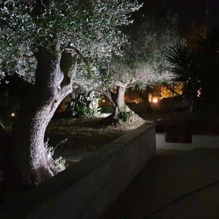 Trullallegro - Appartamento con Terrazza - 13