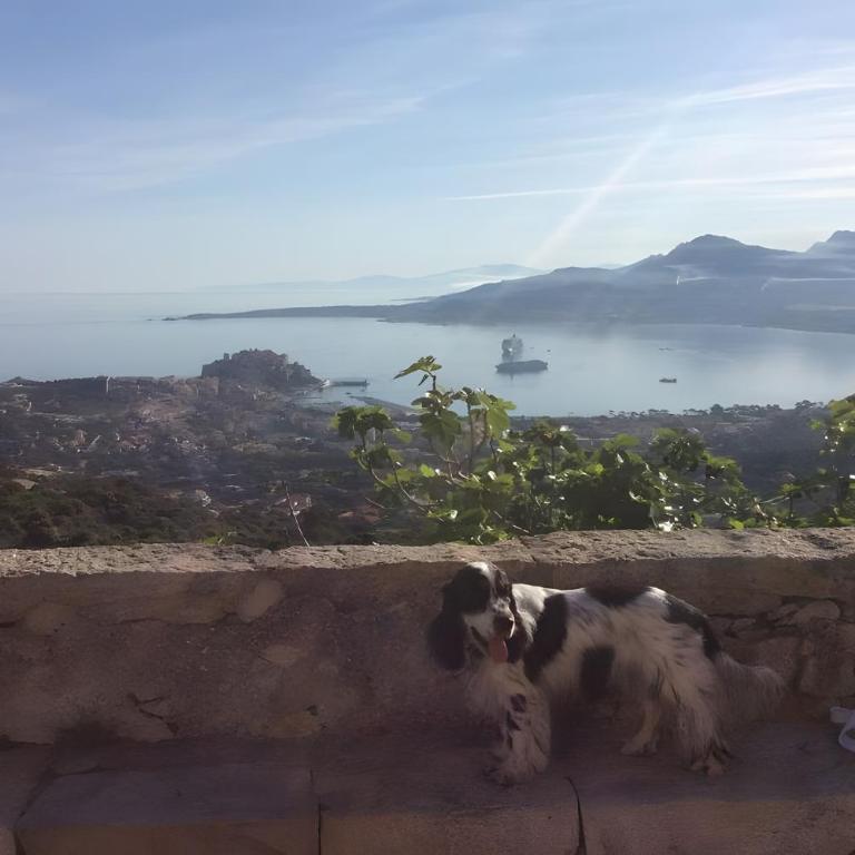 Appartamento T3 Calvi - Deluxe-Apartment mit 2 Schlafzimmern und Gartenblick - 28