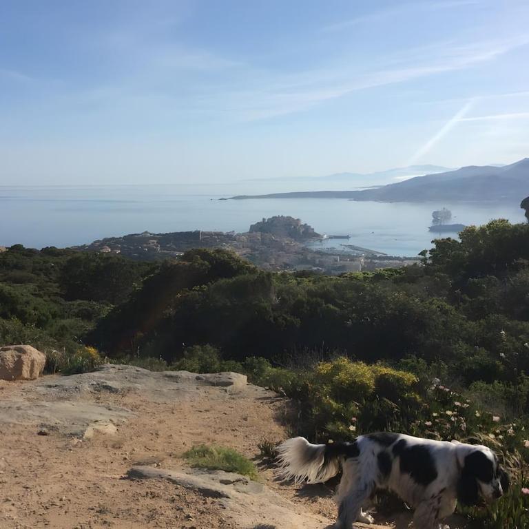 Appartamento T3 Calvi - Deluxe-Apartment mit 2 Schlafzimmern und Gartenblick - 29