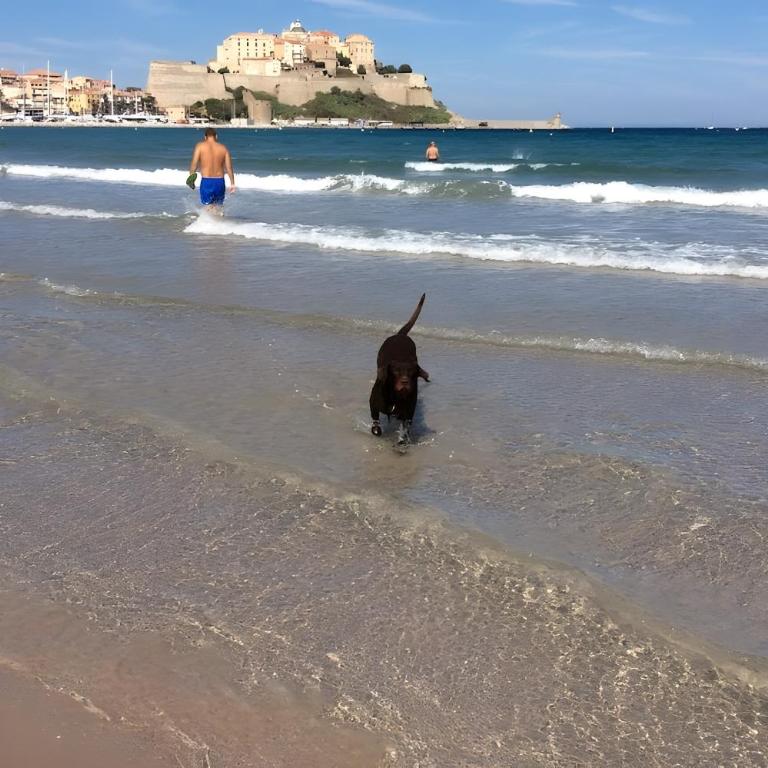 Appartamento T3 Calvi - Deluxe-Apartment mit 2 Schlafzimmern und Gartenblick - 22