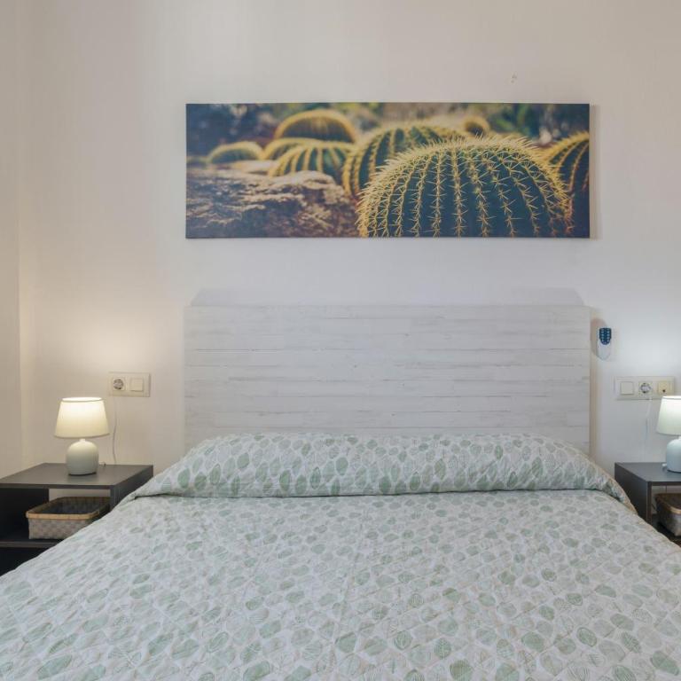 Casandra - Apartamento con ducha - 12