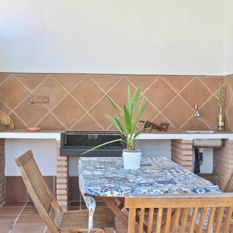 Olivos 1d - Apartamento con terraza - 39
