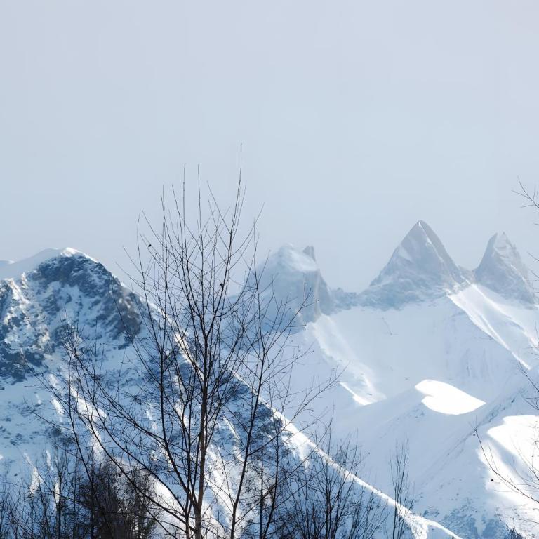 Alphonsine Ski Lodge - Chalet - 25